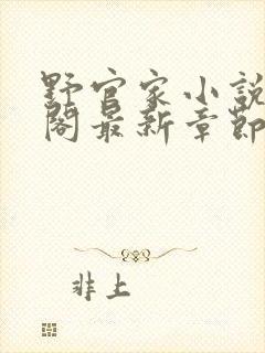 野官家小说笔趣阁最新章节