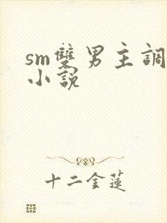 sm双男主调教小说封面