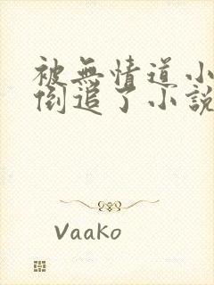 被无情道小师弟倒追了小说免费