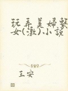 玩弄美妇系列熟女(激)小说