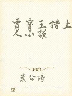 贾宝玉错上王夫人小说封面