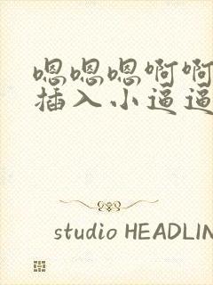 嗯嗯嗯啊啊啊快插入小逼逼