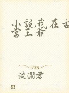 小说,我在古代当王爷封面