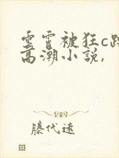 云霄被狂c躁到高潮小说,