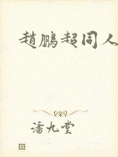 赵鹏超同人小说