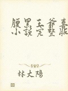 腹黑王爷喜当爹小说完整版大结局封面