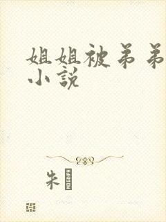 姐姐被弟弟侵犯小说封面