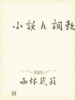 小说 h 调教