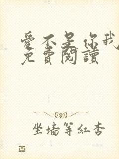 爱不是你我小说免费阅读