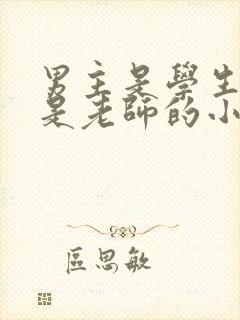 男主是学生女主是老师的小说