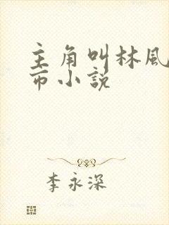 主角叫林风的都市小说