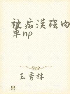 被痴汉强肉h公车np