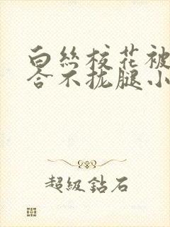 白丝校花被c得合不拢腿小说