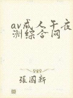 av成人午夜亚洲综合网