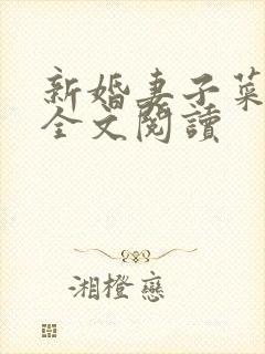 新婚妻子菜老板全文阅读封面