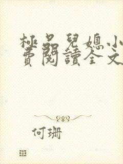 极品儿媳小说免费阅读全文无弹窗封面