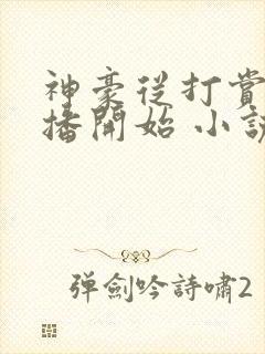 神豪从打赏女主播开始 小说网