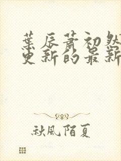 叶辰萧初然今天更新的最新章节