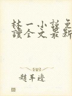 林一小说免费阅读全文最新章节