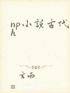 np小说古代高h