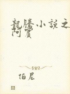 龙腾小说之少年阿宾