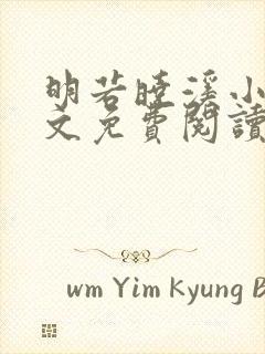 明若晓溪小说全文免费阅读封面