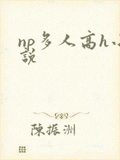 np多人高h小说