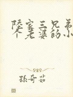 陆家三兄弟共一个老婆的小说