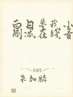 白日梦我小说未删减在线看封面