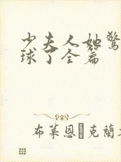 少夫人她惊艳全球了全篇封面