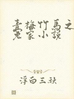 青梅竹马之欢喜冤家小说封面