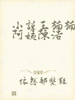 小说王楠楠,王阿姨陈浩