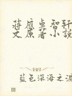 蒋应卓智轩同人文原著小说叫什么名封面