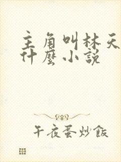 主角叫林天的叫什么小说封面