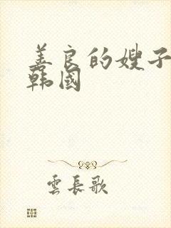 善良的嫂子2 韩国封面