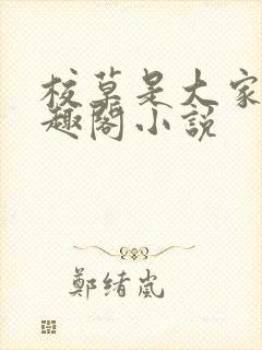 校草是大家的笔趣阁小说封面