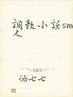 调教小说sm主人