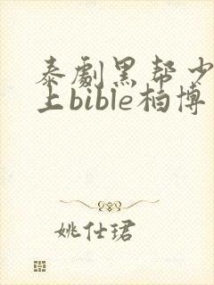 泰剧黑帮少爷爱上bible柏博封面
