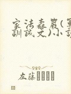 家法森严(军人训诫文)小说