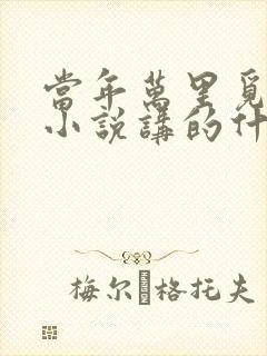 当年万里觅封侯小说讲的什么