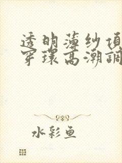 透明薄纱项圈羞穿环高潮调教小说封面