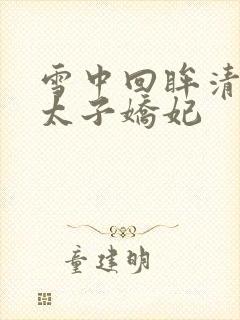 雪中回眸清穿之太子娇妃