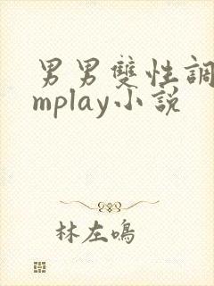 男男双性调教smplay小说
