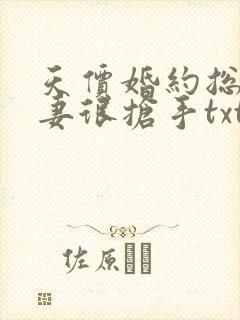 天价婚约总裁前妻很抢手txt