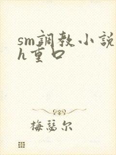 sm调教小说高h重口