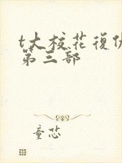 t大校花复仇记第三部