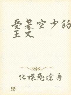 受是空少的双男主文