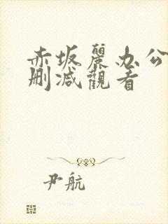 赤坂丽办公室无删减观看