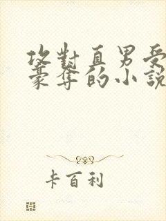 攻对直男受强取豪夺的小说