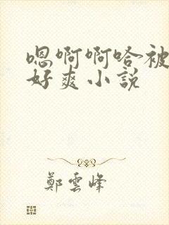 嗯啊啊哈被狗糙好爽小说